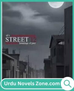 Street 12 Novel by Muhammad Ali Zaidi